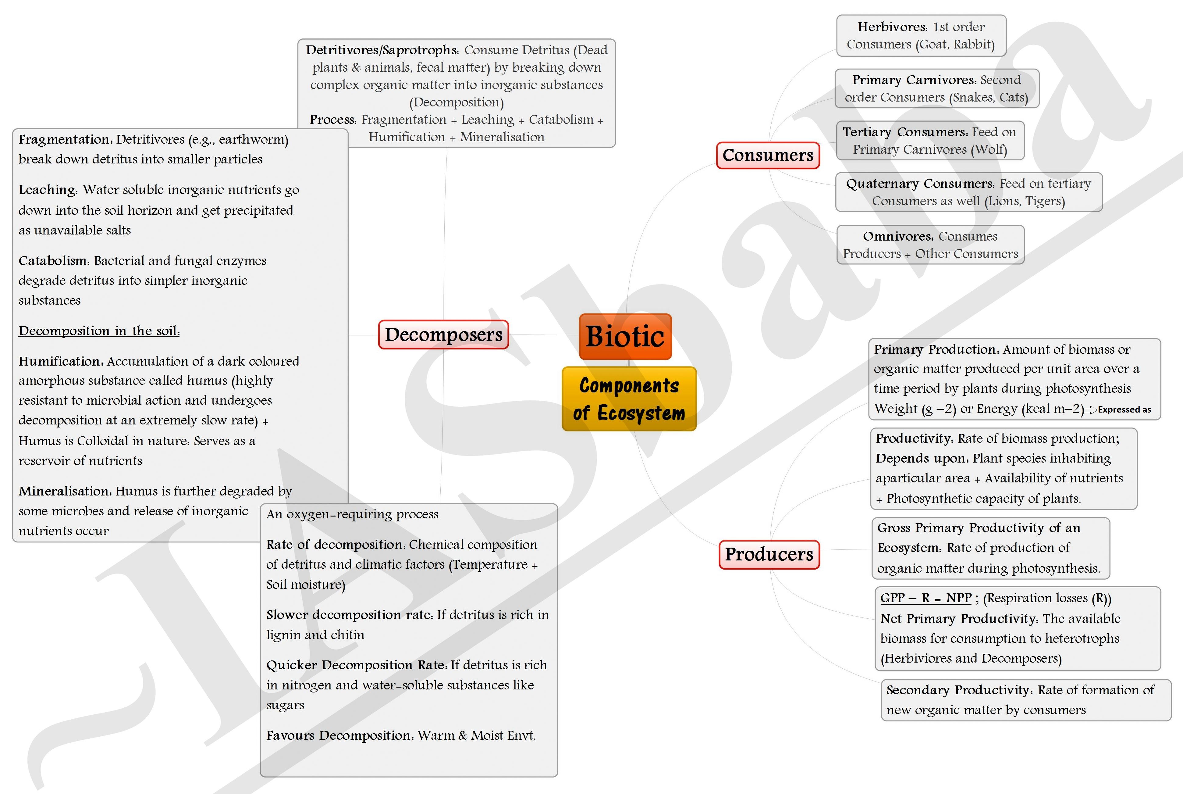 B-Biotic Components of Ecosystem