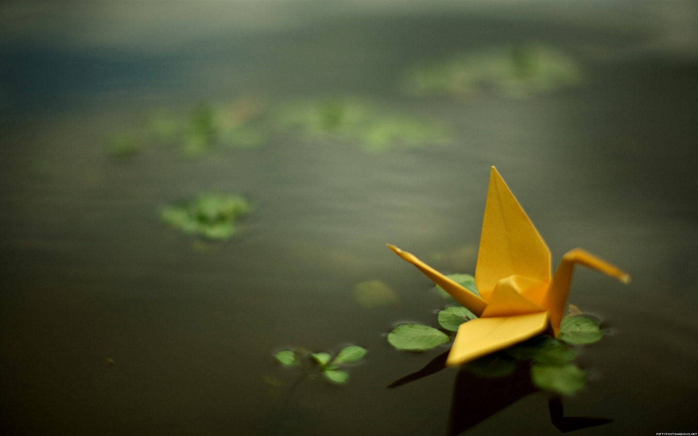 Yellow_paper_cranes-Life_photography_HD_wallpaper_1440x900