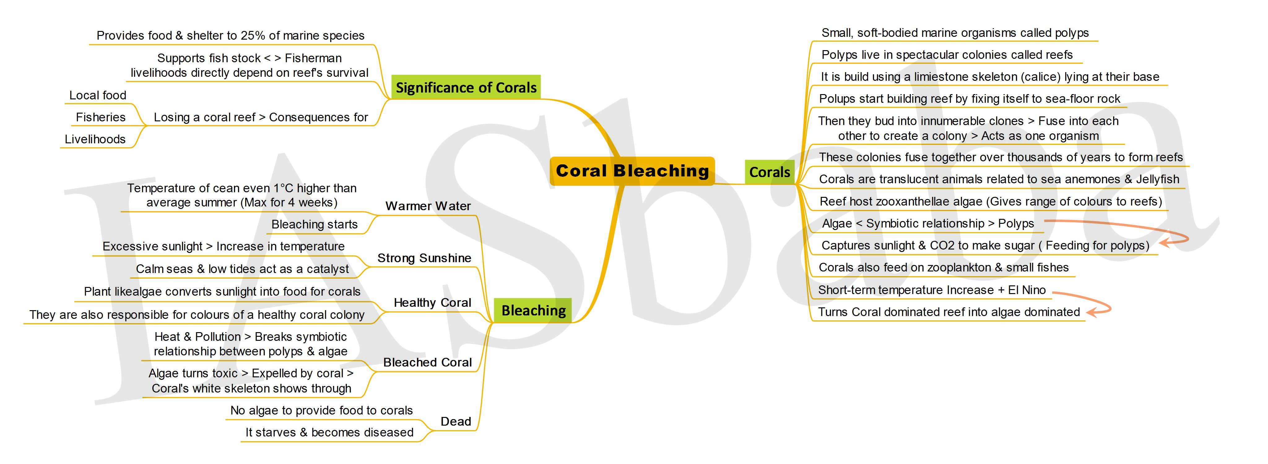 Coral Bleaching-IASbaba