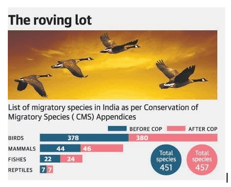 India Is Host To 457 Migratory Fauna Iasbaba