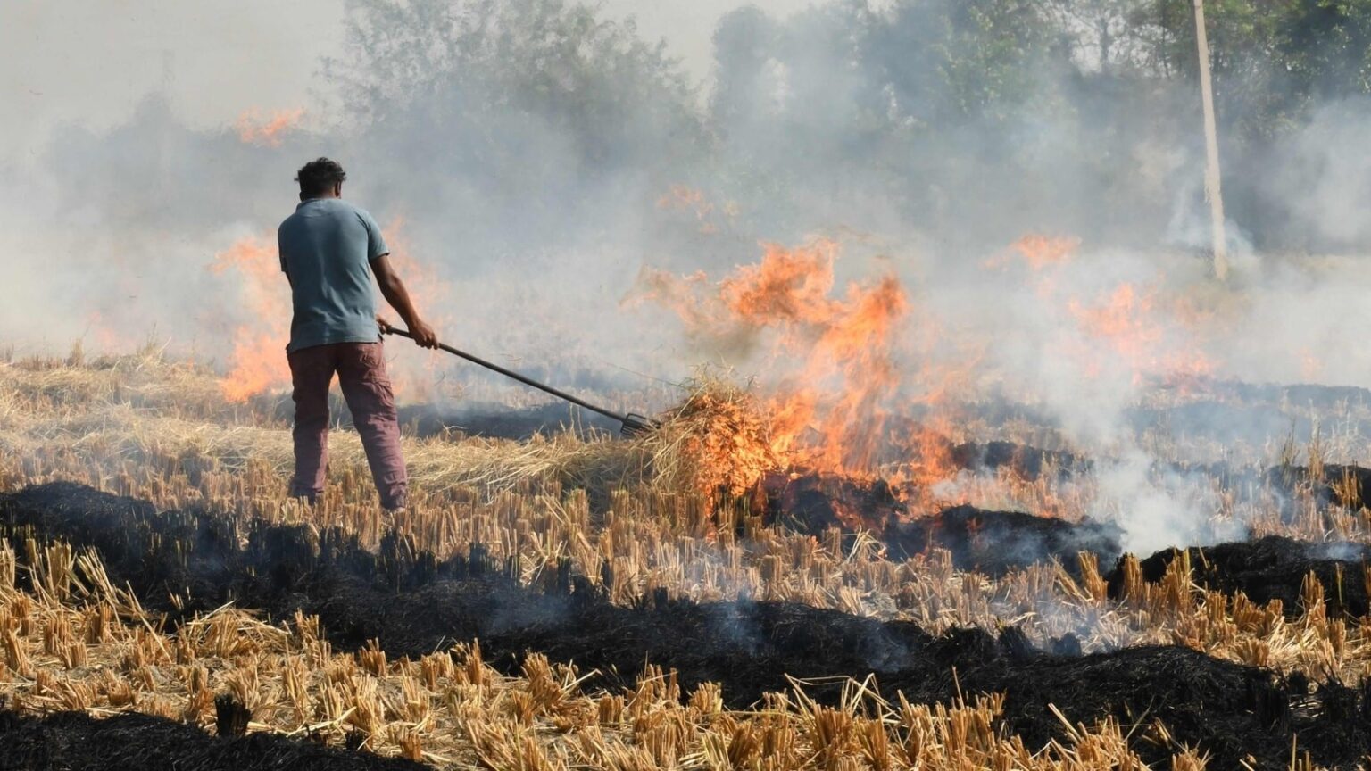 What Is Stubble Burning Pdf