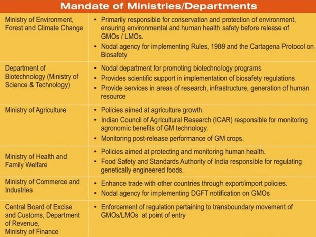 Baba's Explainer - GM Crops And Their Regulation | IASbaba