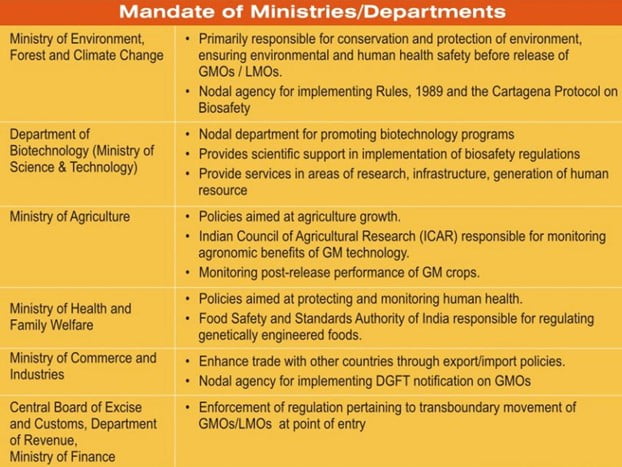 Baba s Explainer GM Crops And Their Regulation IASbaba