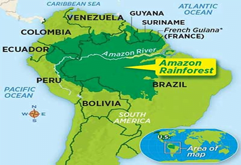 Deforestation in Amazon Basin | IASbaba