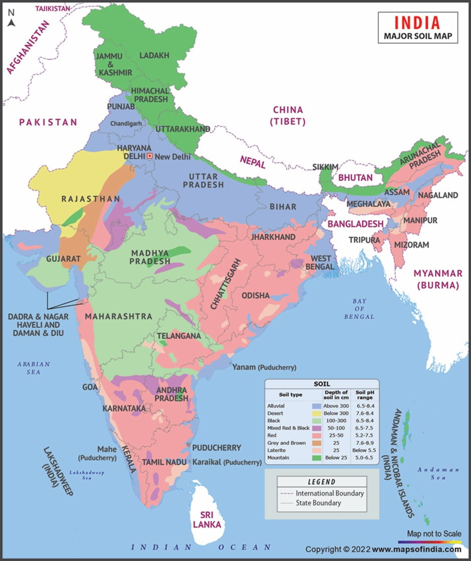 Describe The Main Features Of Black Soil Found In India