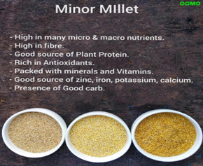 Benchmark Price’ for Minor millets | IASbaba