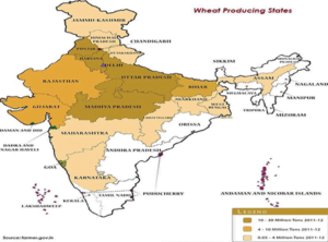 Rabi Cropping Season | IASbaba