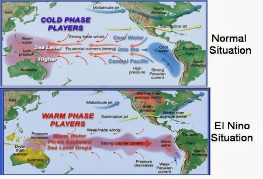 El Nino Or La Nina For 2024 - Shani Leonora