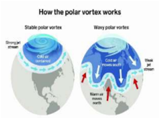 Day 39 - Q. 2. What is the Polar Vortex? Explain its role in ...