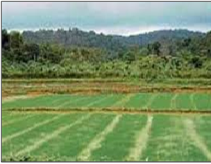 Daily Current Affairs Update: Key Highlights for UPSC Aspirants on 17th January 2026